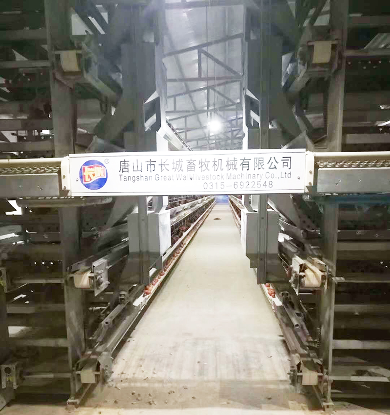 若是您想用自动化装备养蛋鸡，，，，，，哪些蛋鸡装备是必不可少的？？？？？？？？